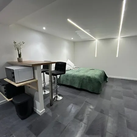 Loft Moderne A Deux Pas De Colmar *