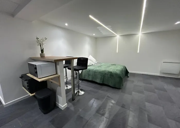 Loft Moderne A Deux Pas De Colmar *